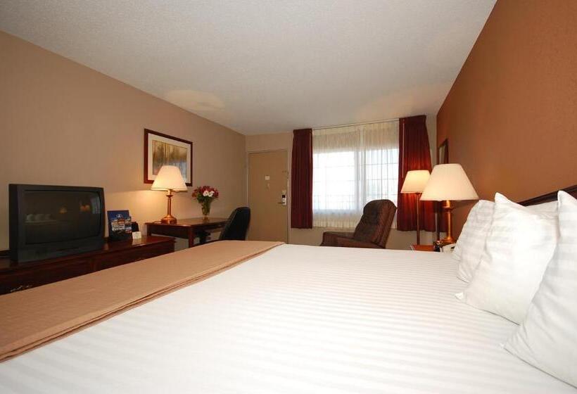 חדר סטנדרט עם מיטת קינג, Magnuson Hotel Red Baron