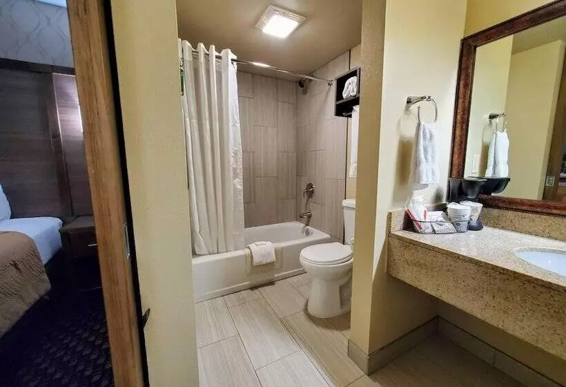 اتاق استاندارد با 2 تخت دوبل, Ramkota Hotel Watertown