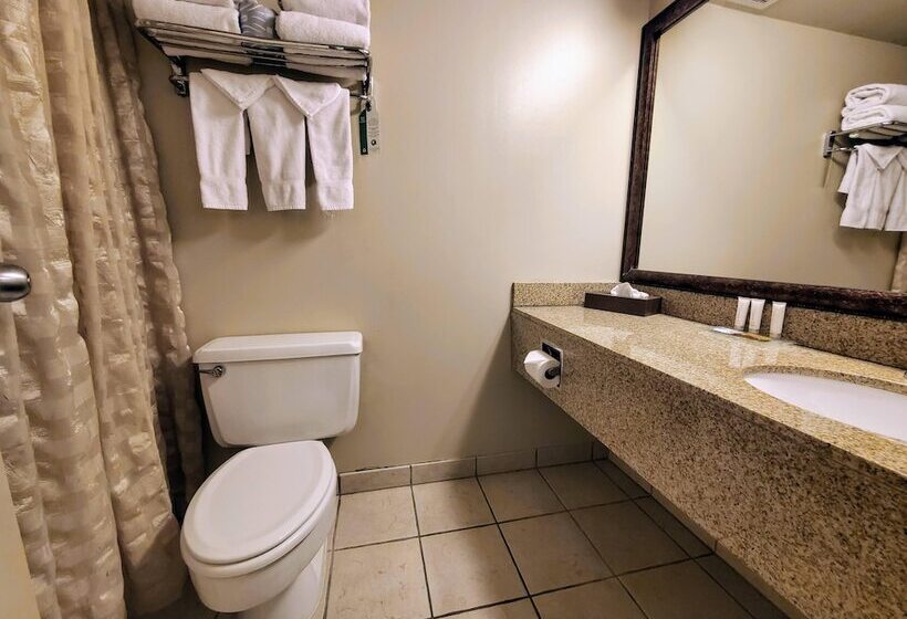 اتاق استاندارد با 2 تخت دوبل, Ramkota Hotel Watertown