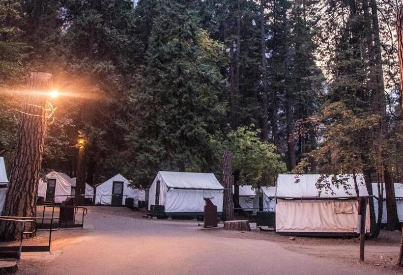 Standard Tent, Curry Village