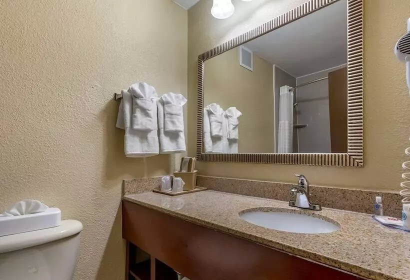 Standard-huone King-vuode, Comfort Inn Fort Mill Amusement Park At Carowinds Blvd