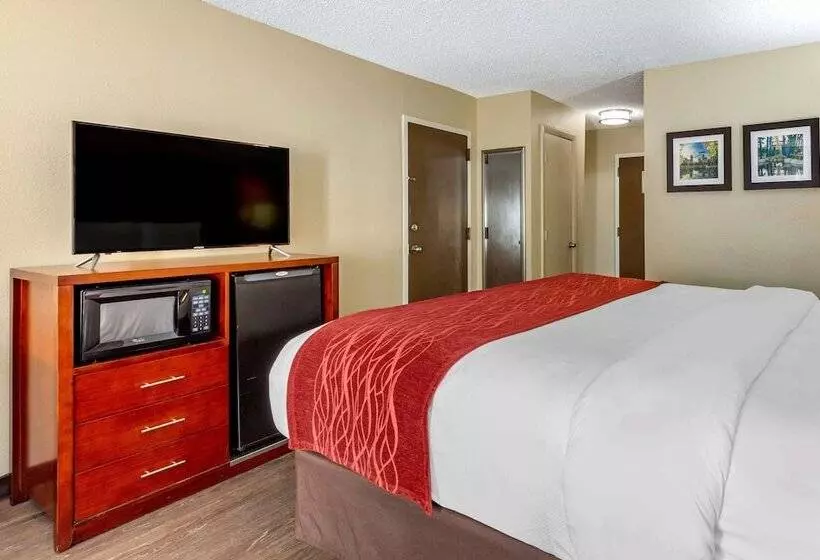 Standard-huone King-vuode, Comfort Inn Fort Mill Amusement Park At Carowinds Blvd