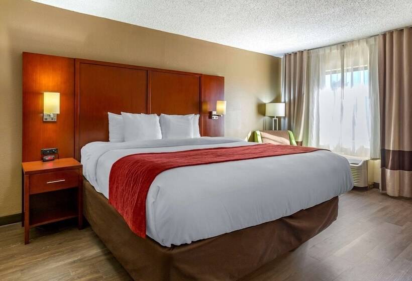 غرفة قياسية سرير كينج, Comfort Inn Fort Mill Amusement Park At Carowinds Blvd