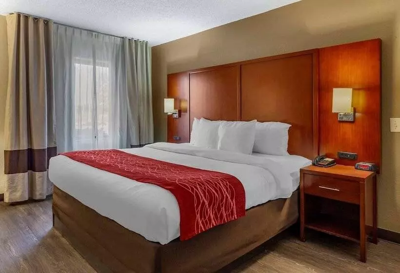 Standard-huone King-vuode, Comfort Inn Fort Mill Amusement Park At Carowinds Blvd