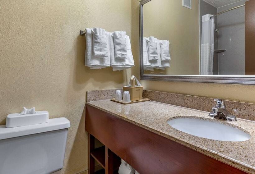 غرفة قياسية سرير كينج, Comfort Inn Fort Mill Amusement Park At Carowinds Blvd