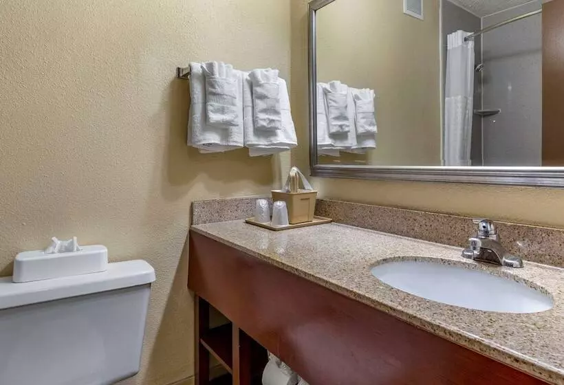Standard-huone King-vuode, Comfort Inn Fort Mill Amusement Park At Carowinds Blvd