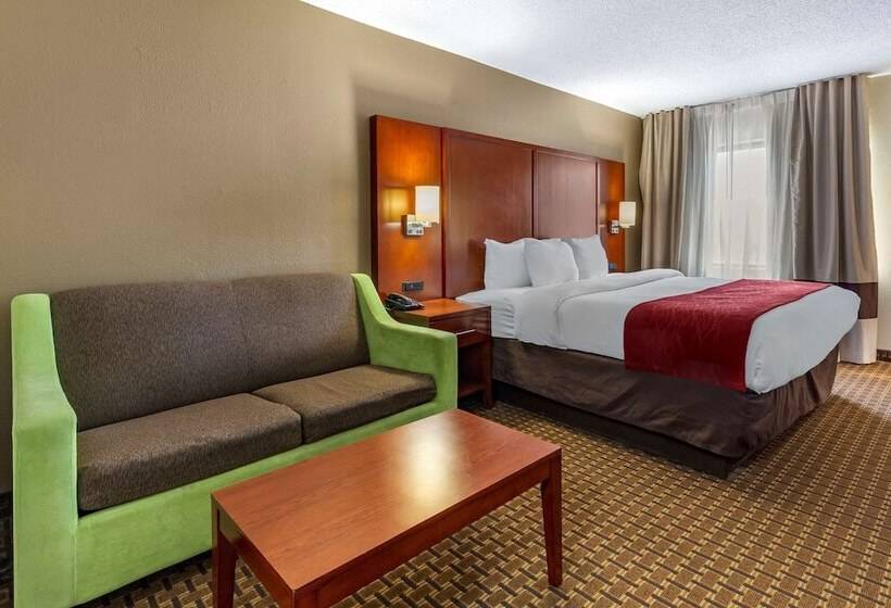 غرفة قياسية سرير كينج, Comfort Inn Fort Mill Amusement Park At Carowinds Blvd