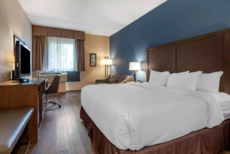 キングサイズベッドのスタンダードルーム, Comfort Inn Horsham  Philadelphia