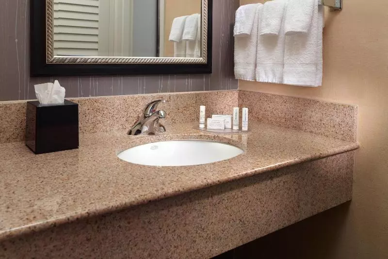 スイート, Courtyard By Marriott Atlanta Duluth/ Gwinnett Place