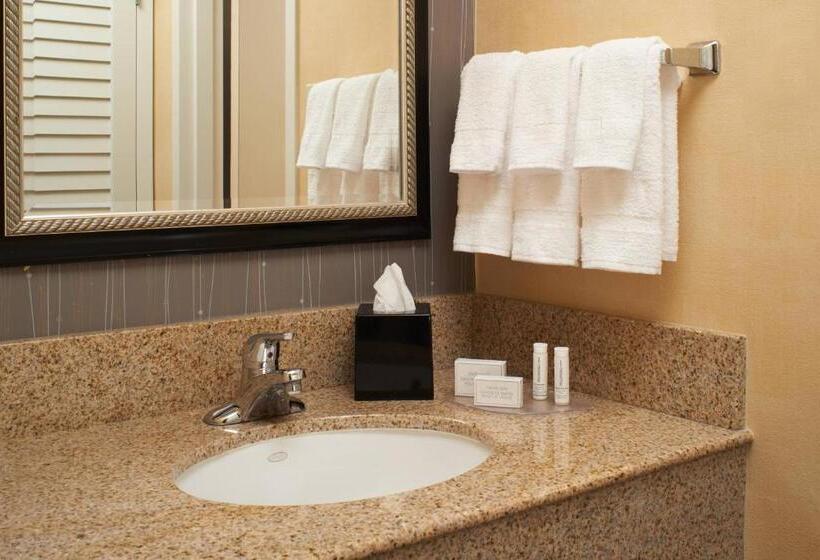 غرفة قياسية سرير كينج, Courtyard By Marriott Detroit Warren