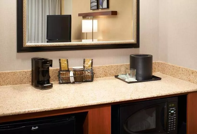 Sviitti King-vuode, Courtyard By Marriott Detroit Warren