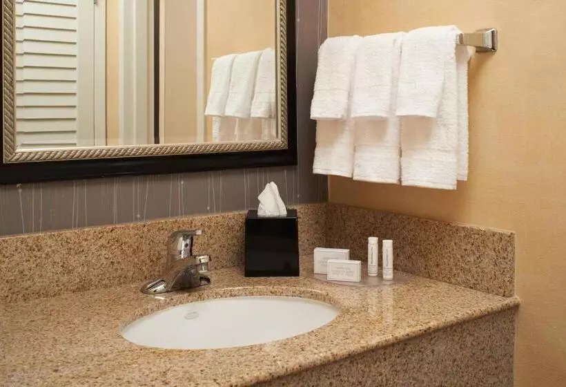 Sviitti King-vuode, Courtyard By Marriott Detroit Warren