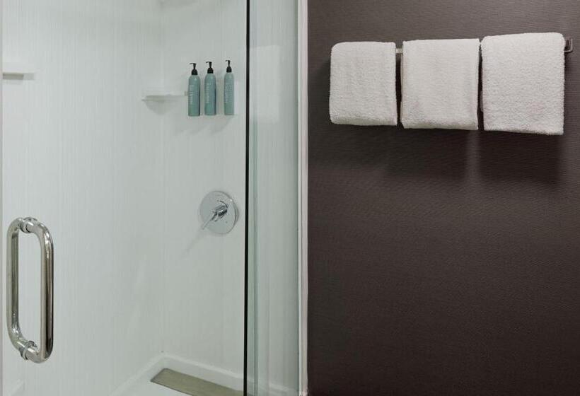 Номер Deluxe Адаптированный для Инвалидов, Courtyard Dayton South Mall