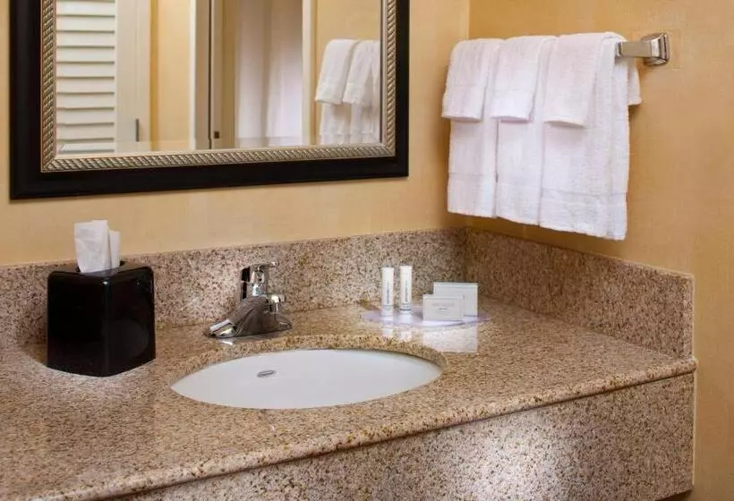 سوئیت با تخت بزرگ, Courtyard By Marriott Little Rock West