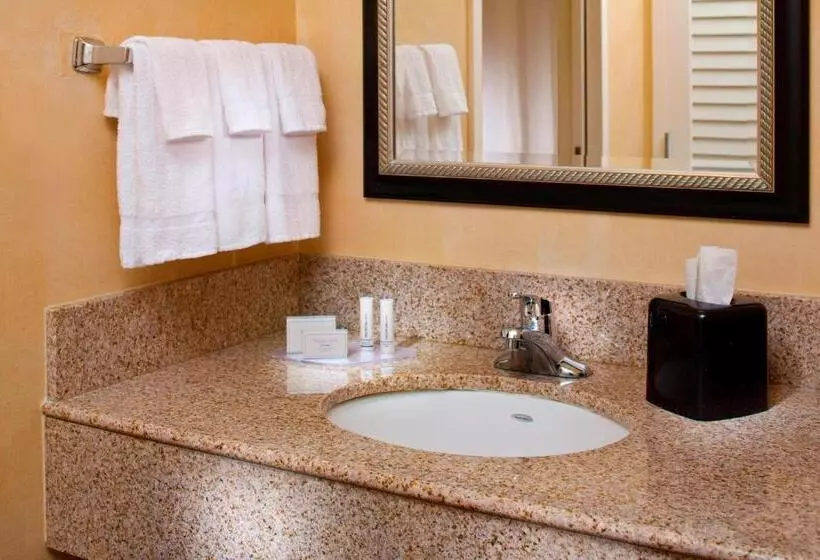 اتاق استاندارد با 2 تخت دوبل, Courtyard By Marriott Little Rock West