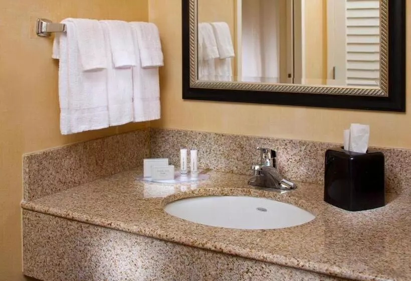 اتاق استاندارد با تخت بزرگ برای معلولان, Courtyard By Marriott Little Rock West
