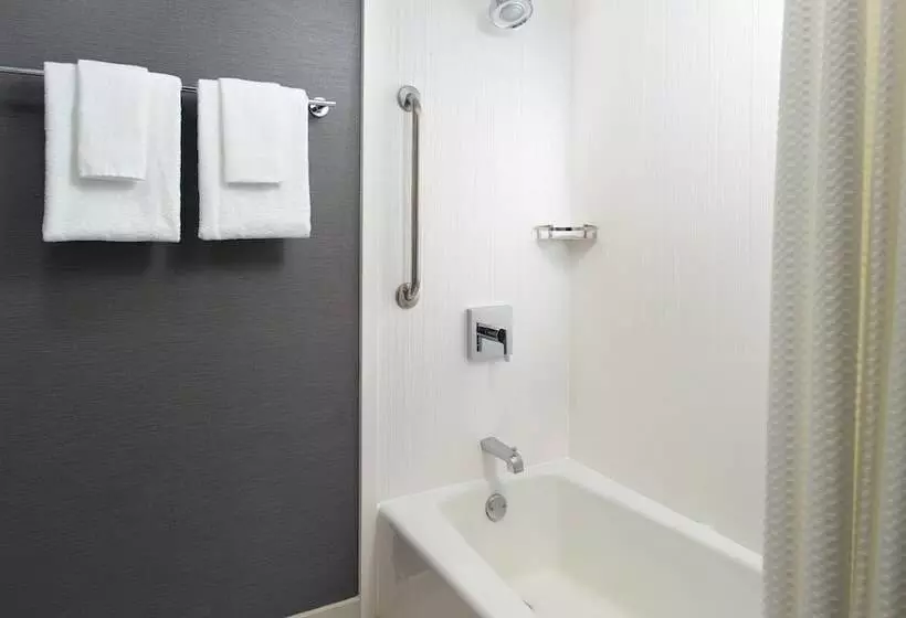 سوییت, Courtyard By Marriott Raleigh Midtown