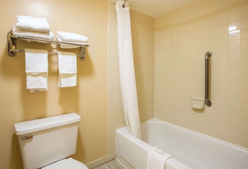 带2个双人床的标准工作室, Econo Lodge Naval Station Norfolk