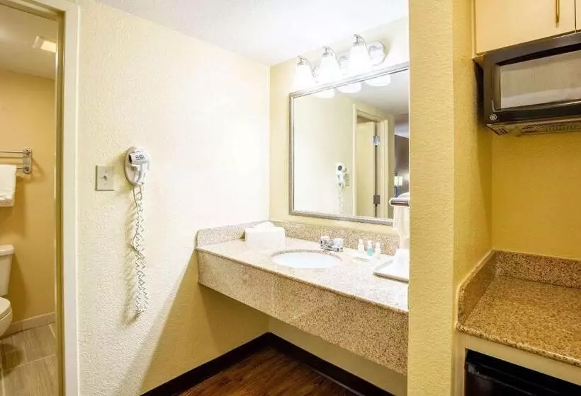 اتاق استاندارد با تخت بزرگ, Econo Lodge Naval Station Norfolk