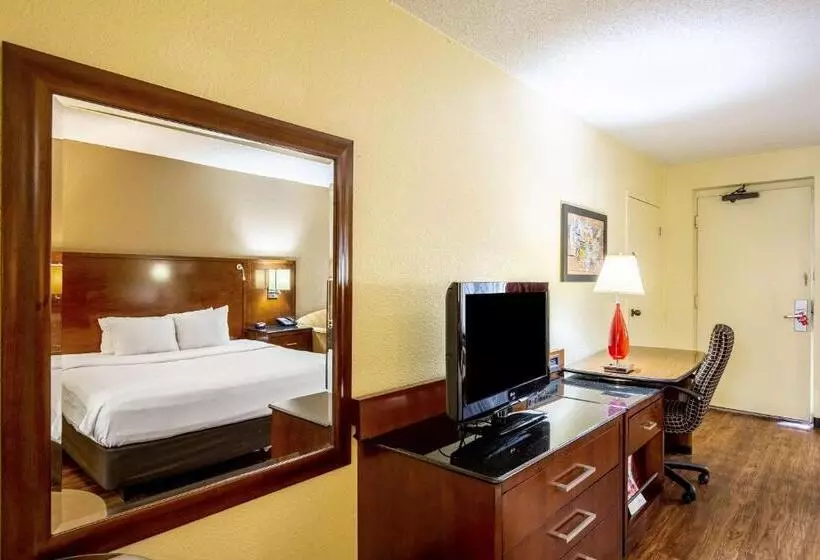 اتاق استاندارد با تخت بزرگ, Econo Lodge Naval Station Norfolk