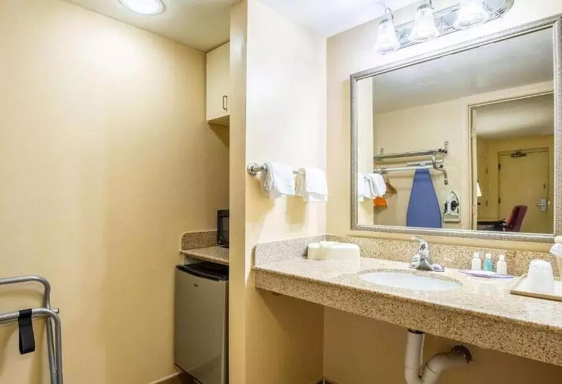 اتاق استاندارد با تخت بزرگ برای معلولان, Econo Lodge Naval Station Norfolk