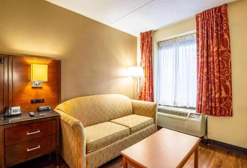 اتاق استاندارد با تخت بزرگ برای معلولان, Econo Lodge Naval Station Norfolk