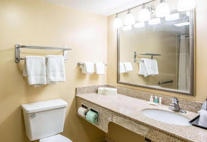Стандартный Номер Кровать Кинг, Econo Lodge Naval Station Norfolk