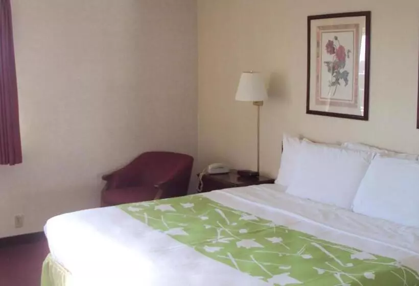 キングサイズベッドのデラックスルーム, Extended Stay Warrenton Inn