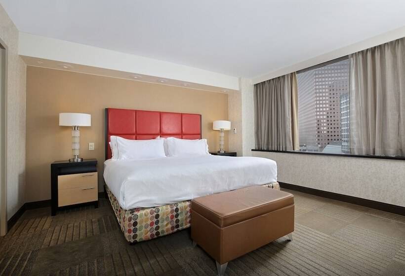 اتاق استاندارد, Holiday Inn Express Denver Downtown, An Ihg