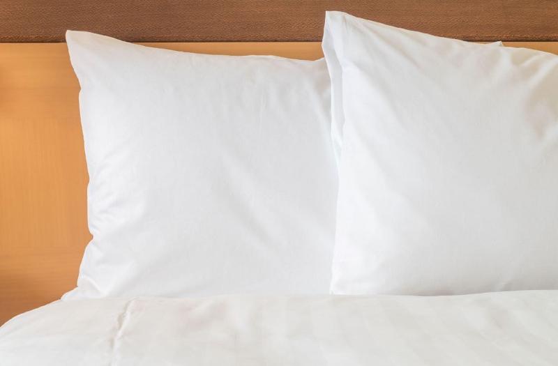 标准间, Holiday Inn Express Denver Downtown, An Ihg