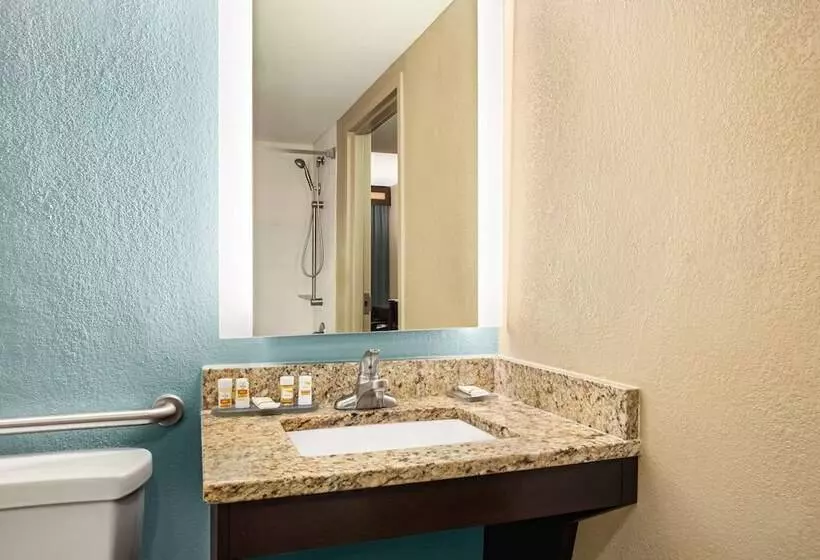 デラックスルーム, La Quinta Inn & Suites By Wyndham Richmondmidlothian