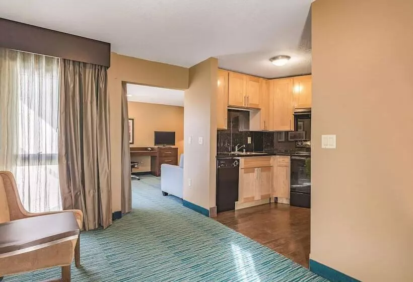 １ベッドルームアパートメント, La Quinta By Wyndham San Francisco Arpt West Millbrae Htd Pool Free Arprt Shtl