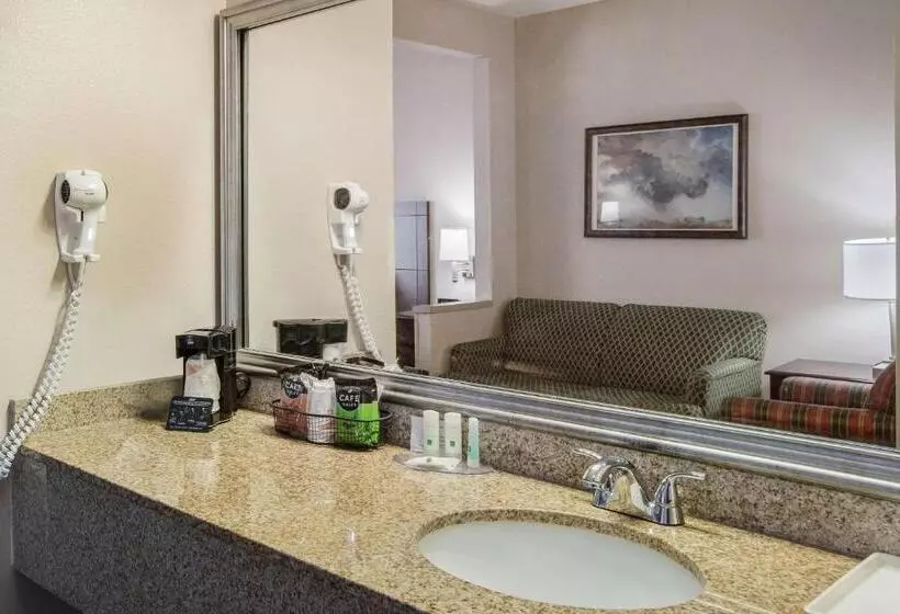 キングサイズベッドのスイートルーム, Quality Inn & Suites Lawrence  University Area