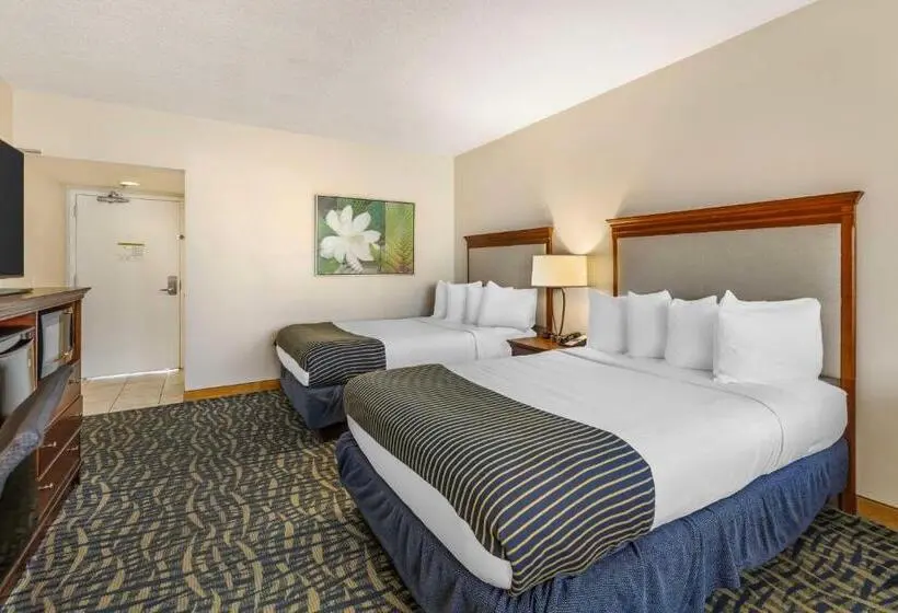 اتاق استاندارد با تخت دو نفره بزرگ, Best Western Cocoa Beach Hotel & Suites