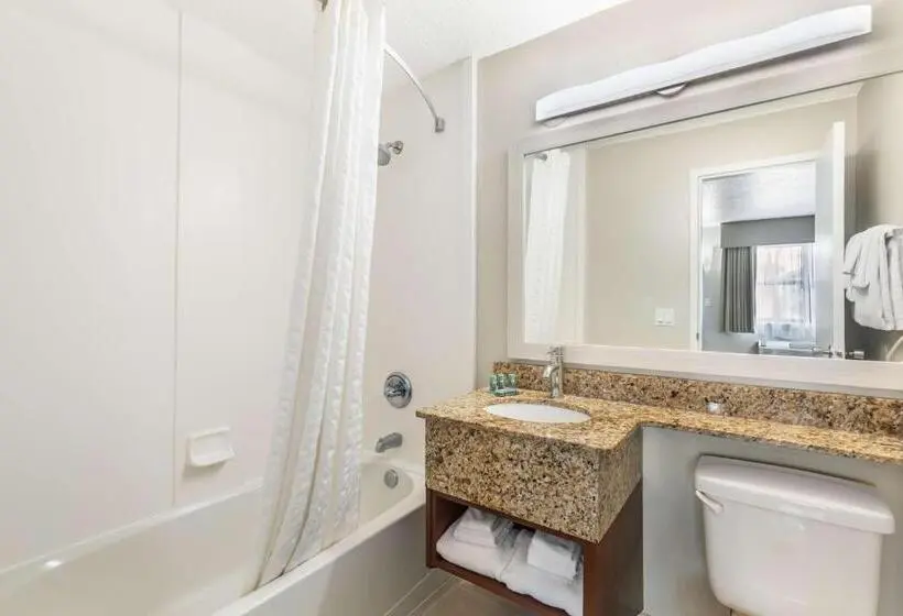 اتاق استاندارد با تخت بزرگ, Best Western Cocoa Beach Hotel & Suites