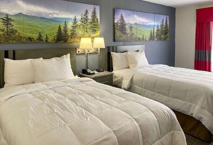 带2个双人床的标准工作室, Clarion Pointe Greensboro Coliseum Area