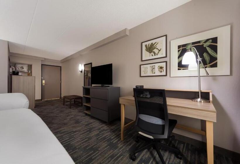 带2个双人床的标准工作室, Country Inn & Suites By Radisson, Lincoln Airport, Ne