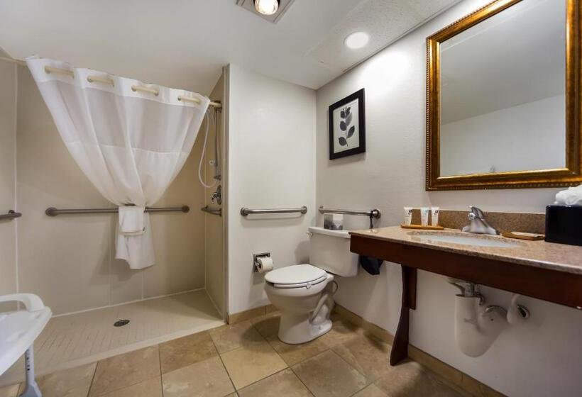 带大床的标准间, Country Inn & Suites By Radisson, Lincoln Airport, Ne