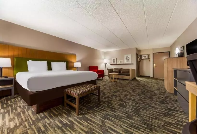 استودیو استاندارد با تخت کینگ, Country Inn & Suites By Radisson, Lincoln Airport, Ne