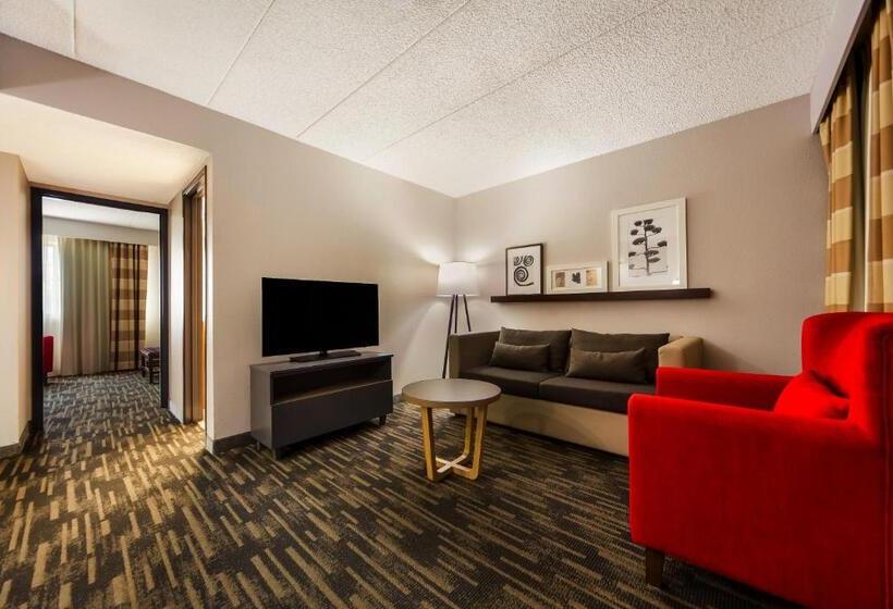 带大床的套房, Country Inn & Suites By Radisson, Lincoln Airport, Ne