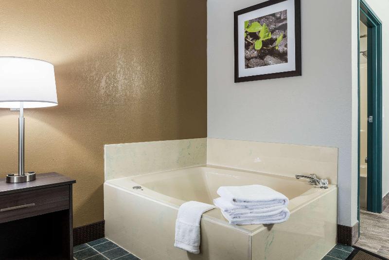 스위트 킹사이즈 침대, Country Inn & Suites By Radisson, Lincoln Airport, Ne