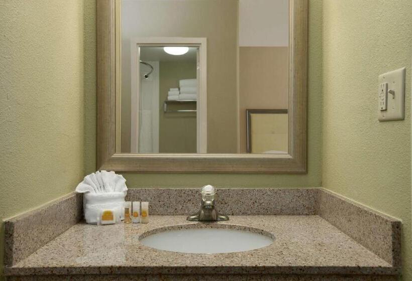 חדר סטנדרט עם מיטת קינג, Days Inn By Wyndham Baltimore Inner Harbor