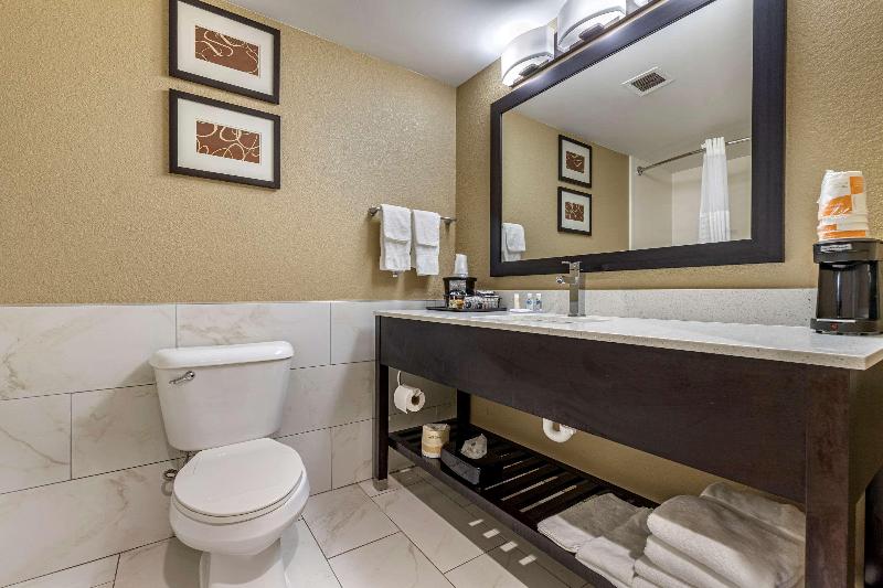 스탠다드 룸 킹사이즈 침대, Quality Inn & Suites Orlando East   Ucf Area
