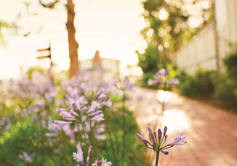 اتاق سوپریور با تخت بزرگ, El Encanto, A Belmond Hotel, Santa Barbara
