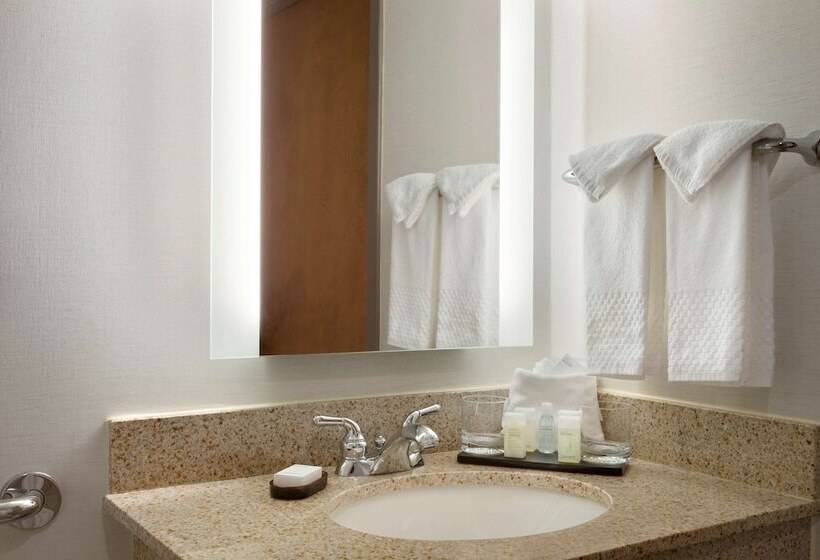 סוויטה מותאמת לאדם עם מוגבלויות, Embassy Suites By Hilton Columbus