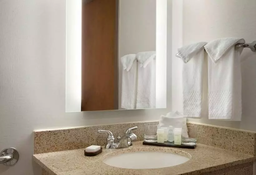 Suite Adapted for people with reduced mobility