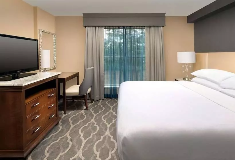 Premium-sviitti, Embassy Suites By Hilton Atlanta Airport
