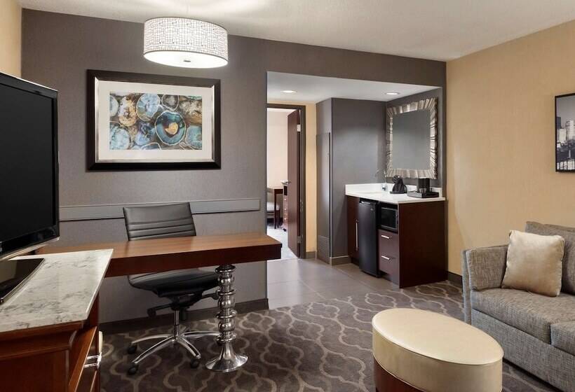 Suíte Premium, Embassy Suites By Hilton Atlanta Airport