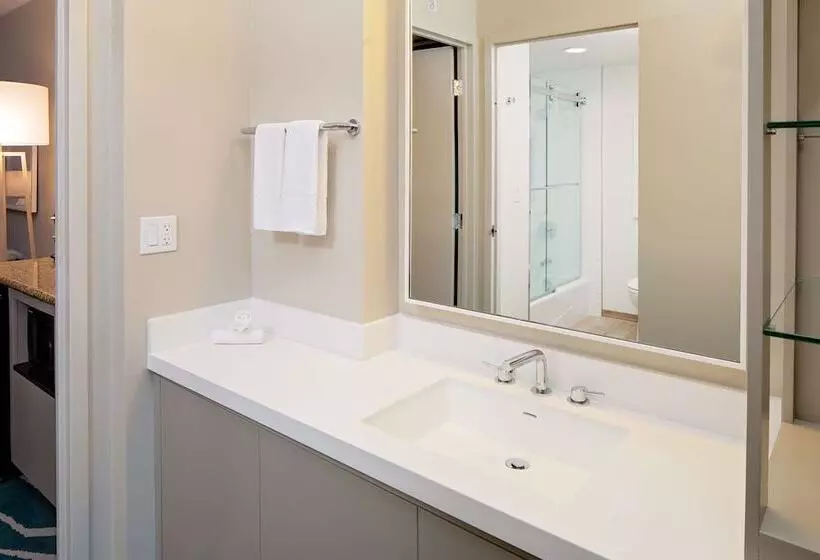 اتاق استاندارد با تخت دوبل و چشم‌انداز, Embassy Suites By Hilton San Diego Bay Downtown