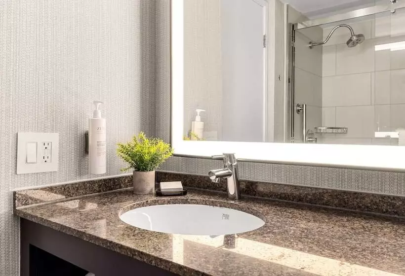 سوئیت با بالکن, Embassy Suites By Hilton Los Angeles Lax South/el Segundo